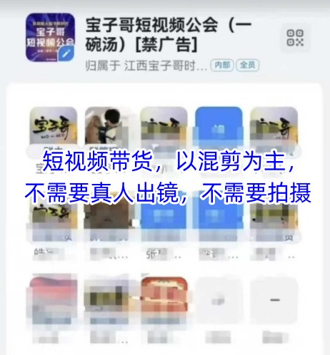 宝子哥头部团队短视频带货，以混剪为主，不需要真人出镜，不需要拍摄【更新11月】-夏姐拆项目