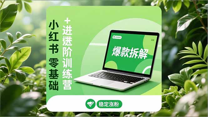 小红书零基础+高阶训练营：安全养号、爆款拆解、长效运营，实现稳定涨粉与变现-夏姐拆项目