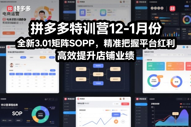 拼多多特训营12-1月份，全新3.01矩阵Sop，精准把握平台红利，高效提升店铺业绩-夏姐拆项目