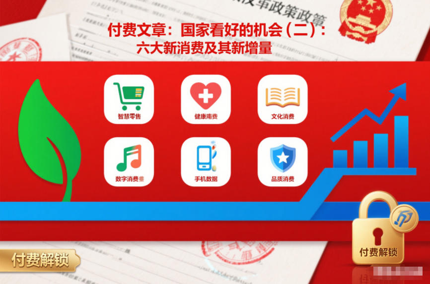 付费文章：国家看好的机会(二)：六大新消费及其新增量-夏姐拆项目
