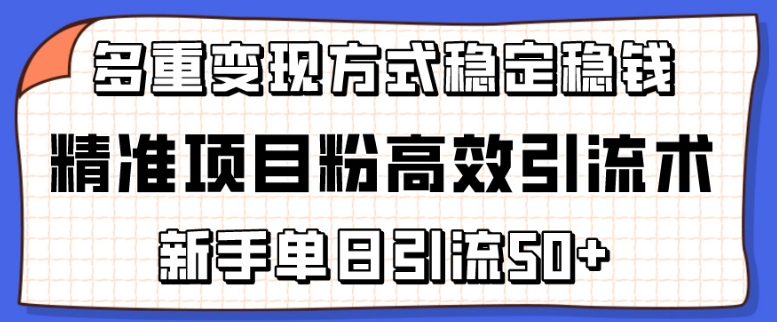精准项目粉高效引流术，新手单日引流50+，多重变现方式稳定赚钱-夏姐拆项目
