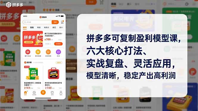拼多多可复制盈利模型课，六大核心打法、实战复盘、灵活应用，模型清晰，稳定产出高利润-夏姐拆项目