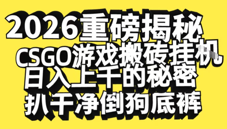 2026开年重磅解密，CSGO游戏搬砖挂G日入1k+的秘密，把倒狗的底裤扒干【揭秘】-夏姐拆项目