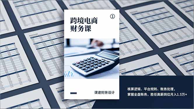 跨境电商财务课，核算逻辑、平台规则、账务处理，掌握全盘账务，胜任高薪岗位月入1.5万+-夏姐拆项目