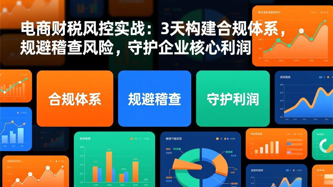 电商财税风控实战：3天构建合规体系，规避稽查风险，守护企业核心利润-夏姐拆项目