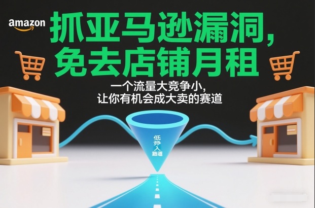 抓亚马逊漏洞，免去店铺月租，一个流量大竞争小，让你有机会成大卖的赛道-夏姐拆项目